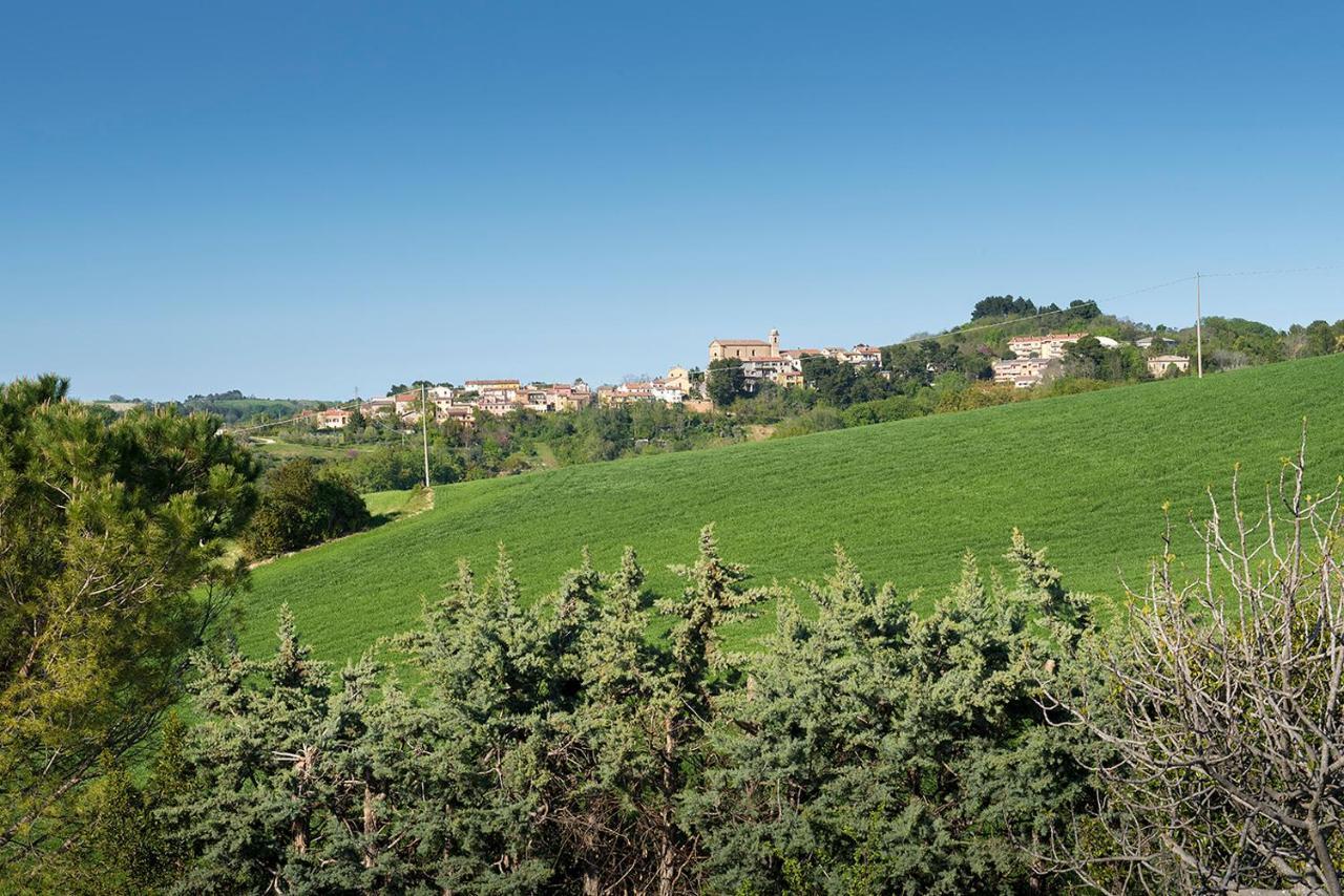 A11 - Varano, Delizioso Trilocale Con Giardino Ancona Dış mekan fotoğraf