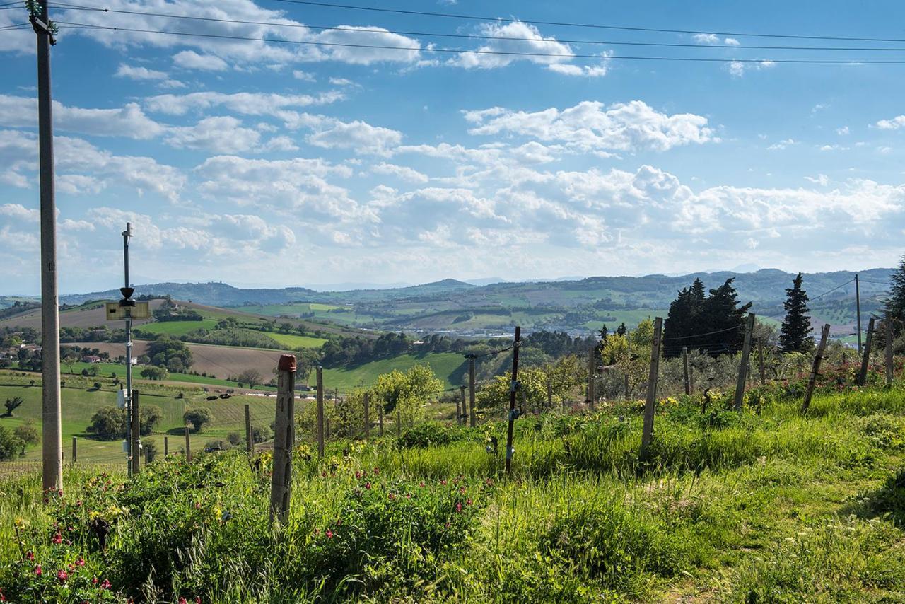 A11 - Varano, Delizioso Trilocale Con Giardino Ancona Dış mekan fotoğraf