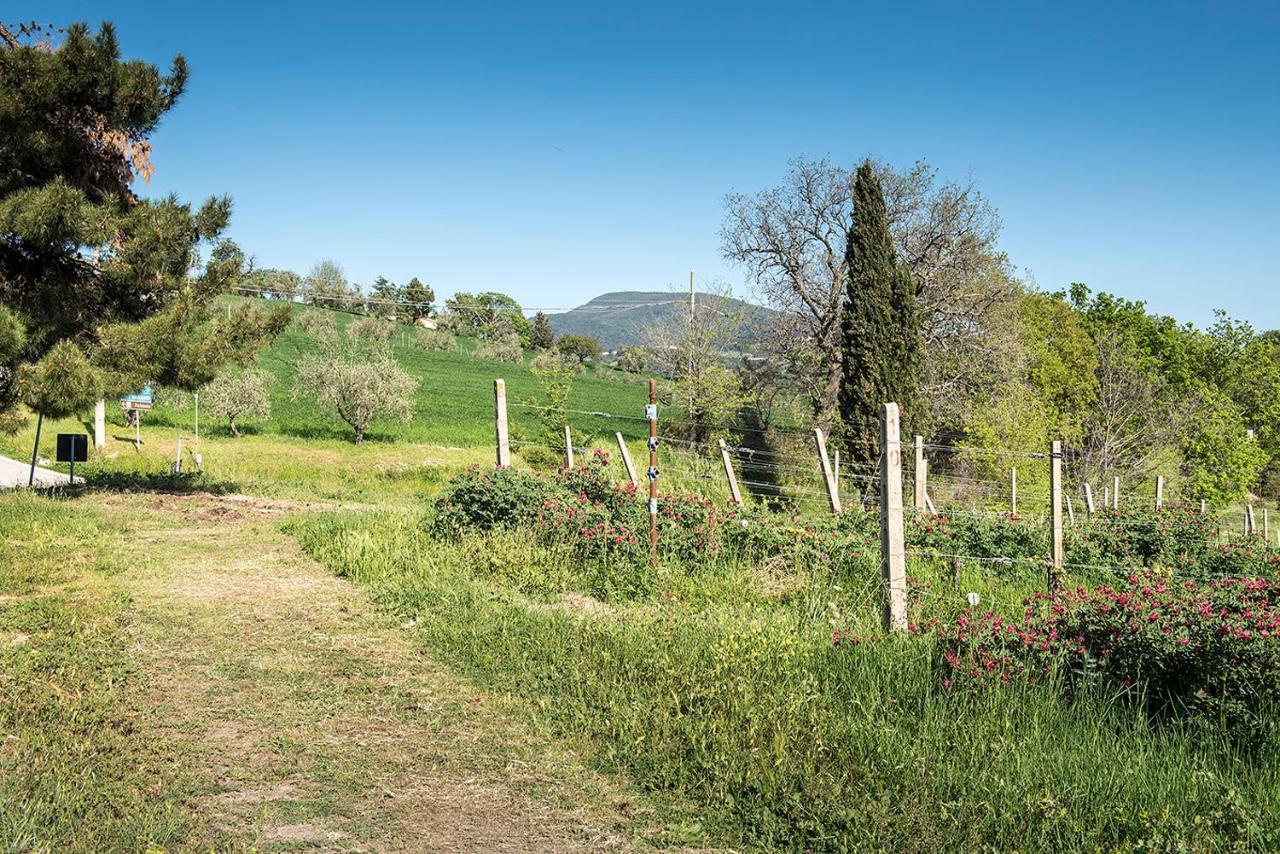A11 - Varano, Delizioso Trilocale Con Giardino Ancona Dış mekan fotoğraf